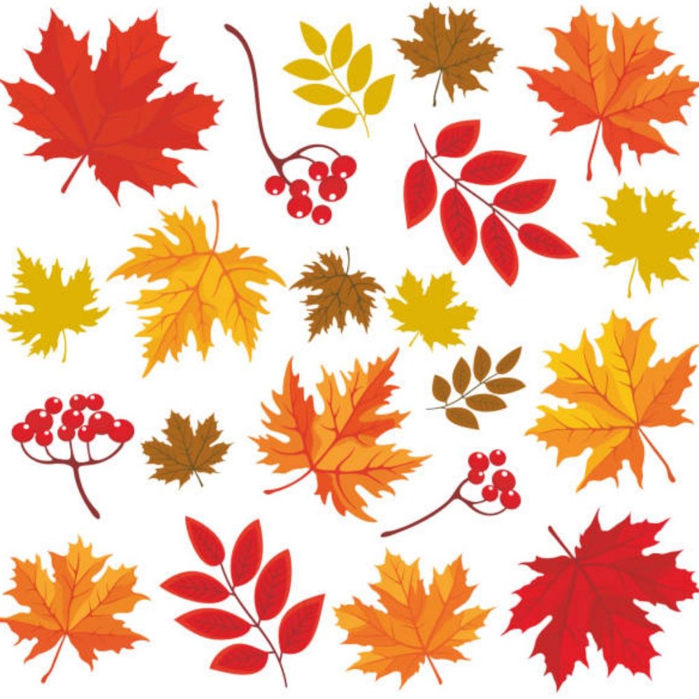 ACCESSORIES----> - Picture 5 of 7